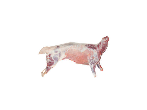Goat-Whole-No-Skin-meat