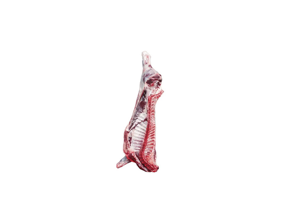 Lamb-Half